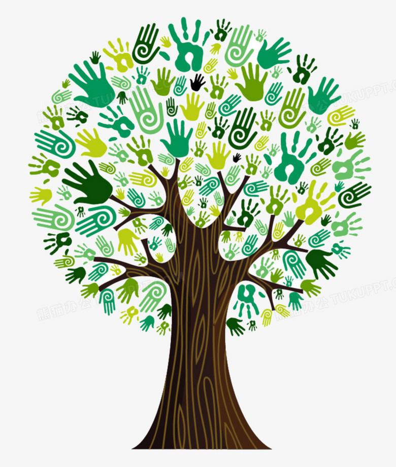 树是怎么形成的少儿百科 780