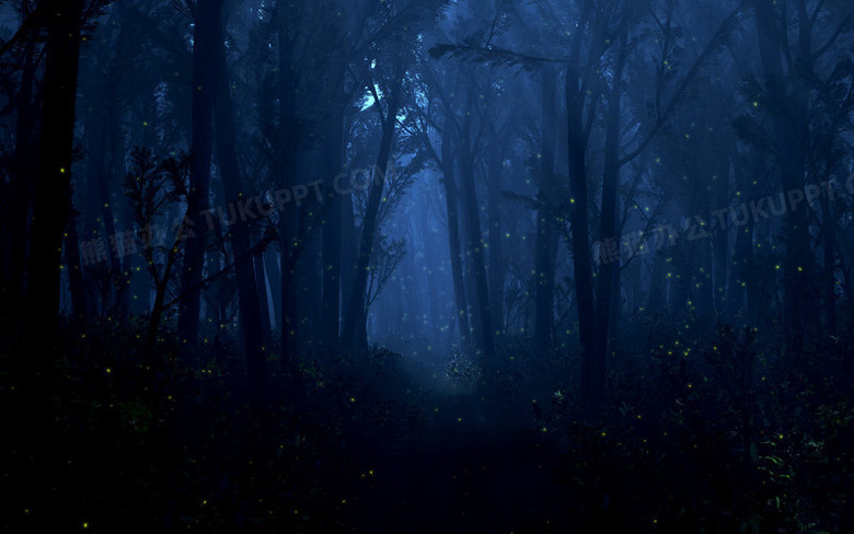 夜晚安静恐怖诡异树林