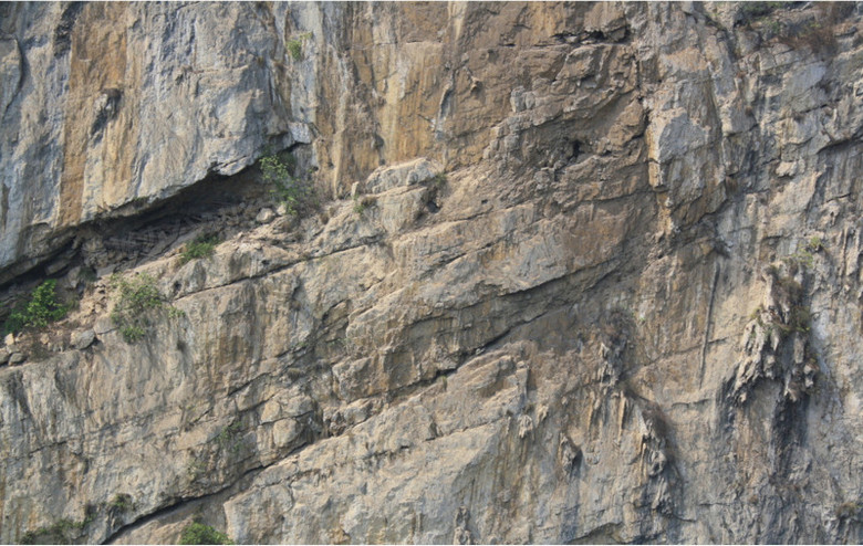 石头 纹理 砂石 岩石 横切面