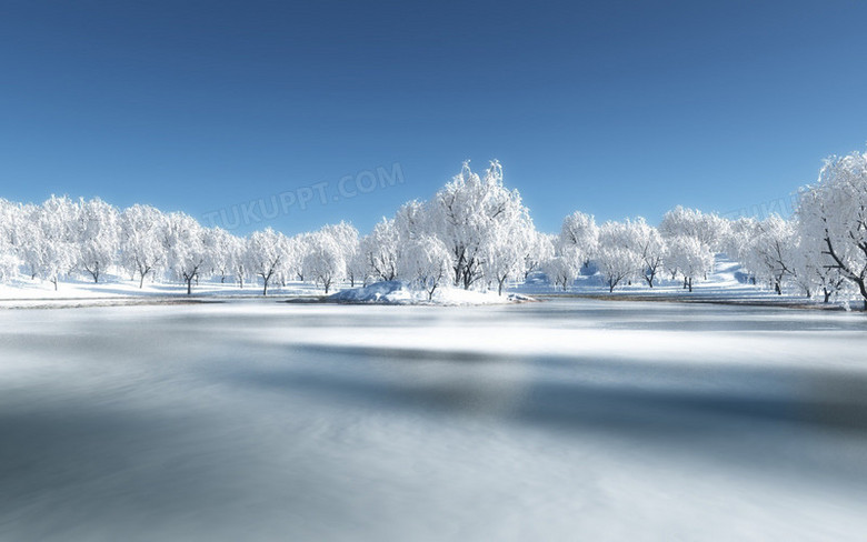 冬天雪景树林背景