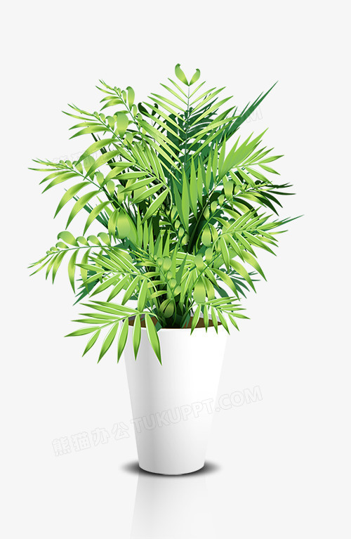 绿色植物花盆png图片素材下载_花盆png_熊猫办公