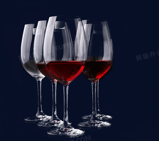 国schott肖特红酒杯