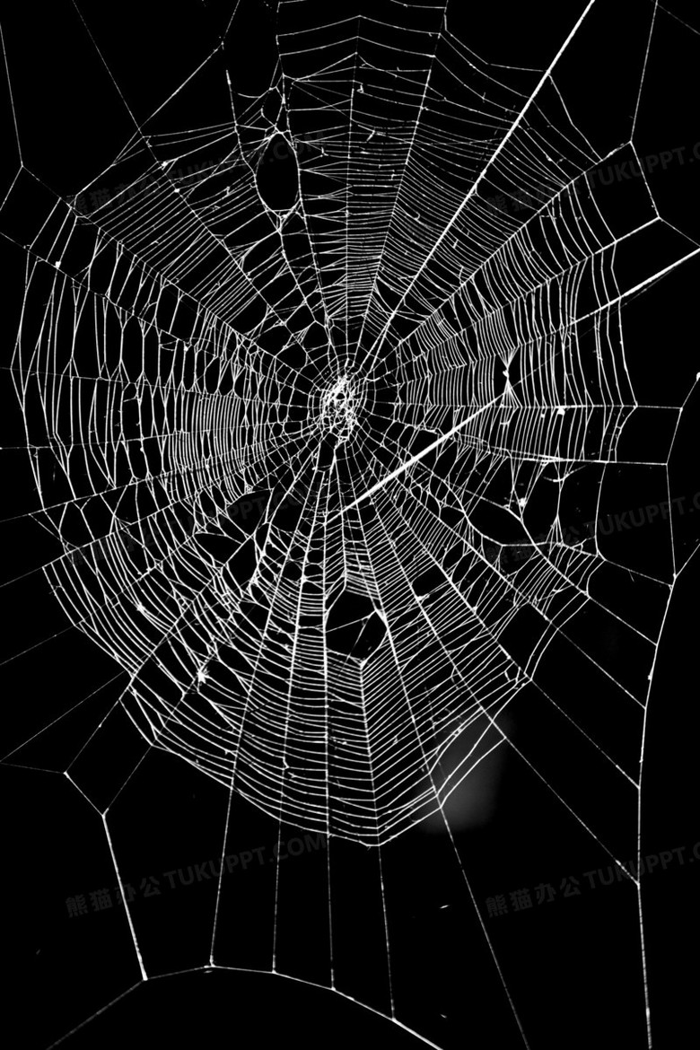 黑色背景白色蜘蛛网png图片素材下载_白色png_熊猫办公