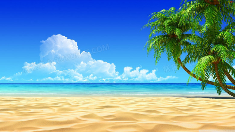 蓝天白云沙滩椰树