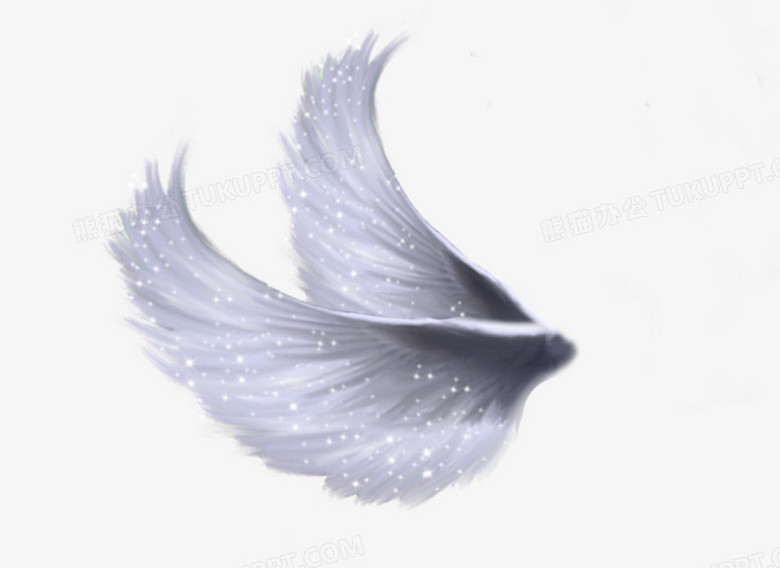 白色羽毛翅膀