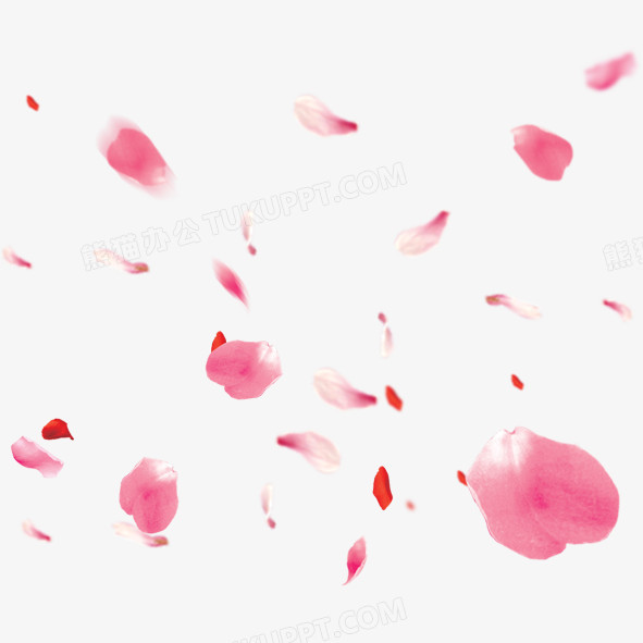 飘落花瓣