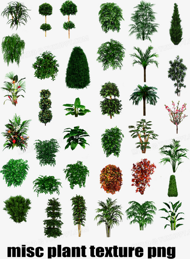 绿色植物树木灌木丛图标png图片素材下载_树木png_熊猫办公