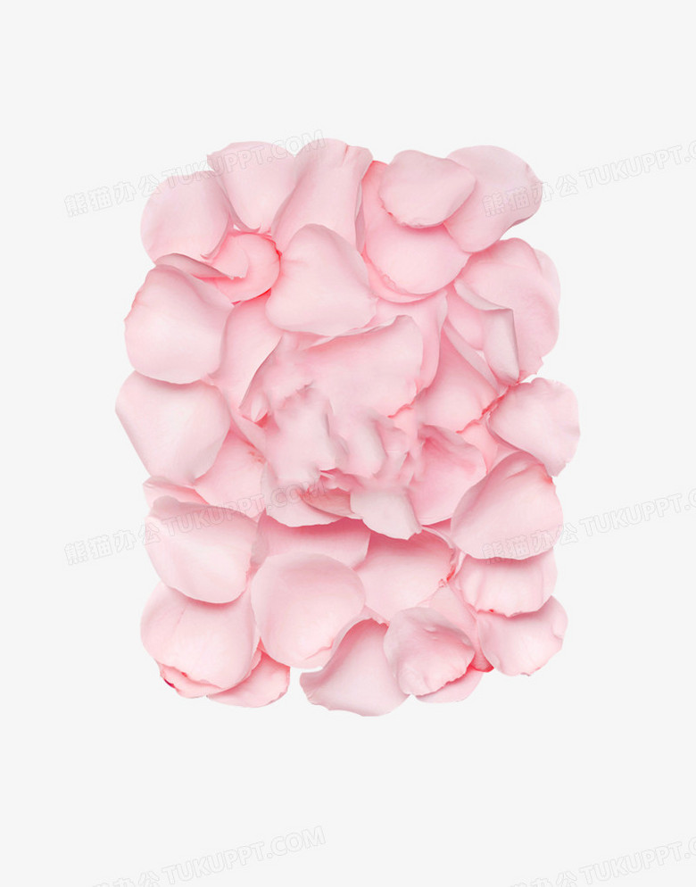 粉色玫瑰花瓣造型