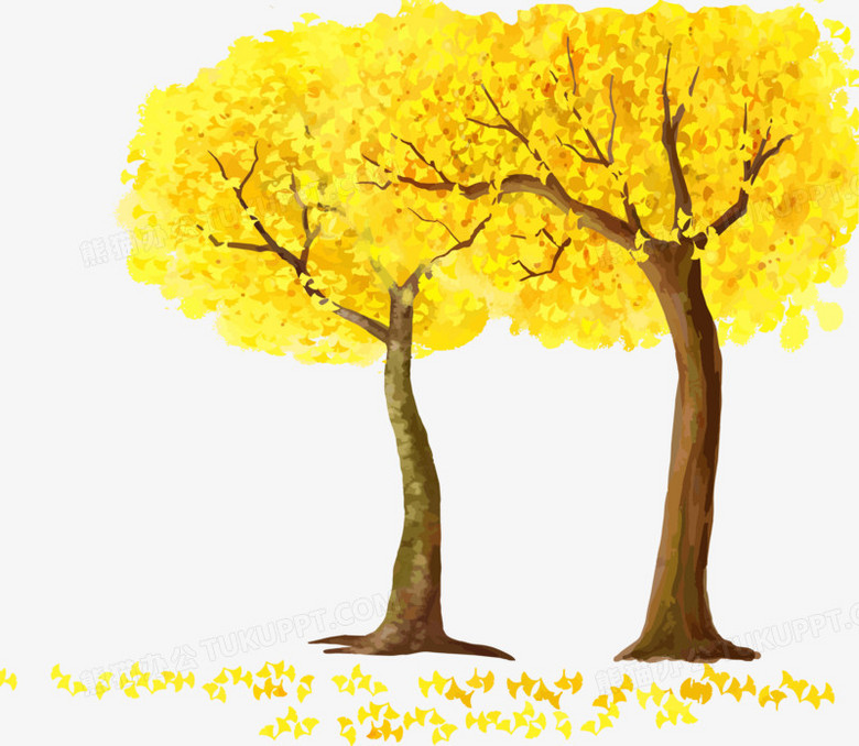 银杏树矢量手绘秋季金色素材