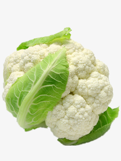 惠水黄土村花菜栽培激活村庄“造血”功用