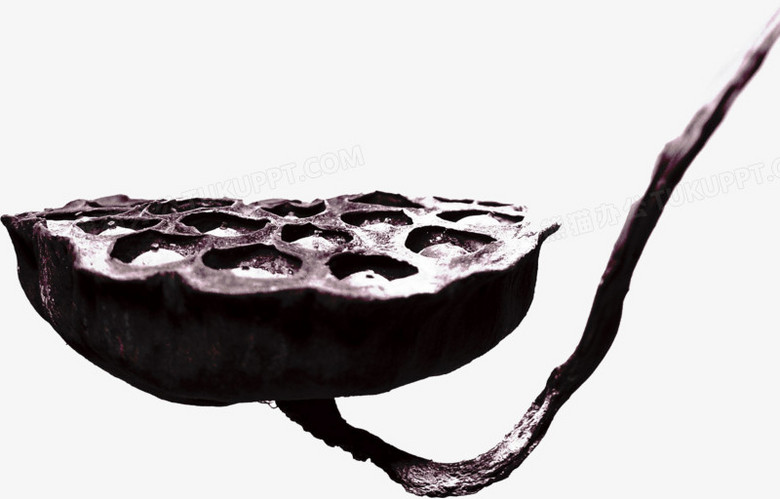 ˮīź