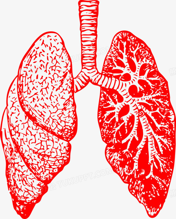 本作品全称为《红色卡通手绘人体器官肺解剖创意元素,在整个配色上