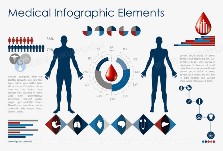 血滴和人体器官信息图表图片