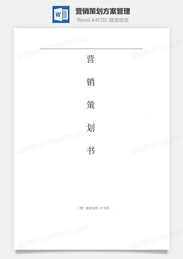 营销策划方案管理word文档