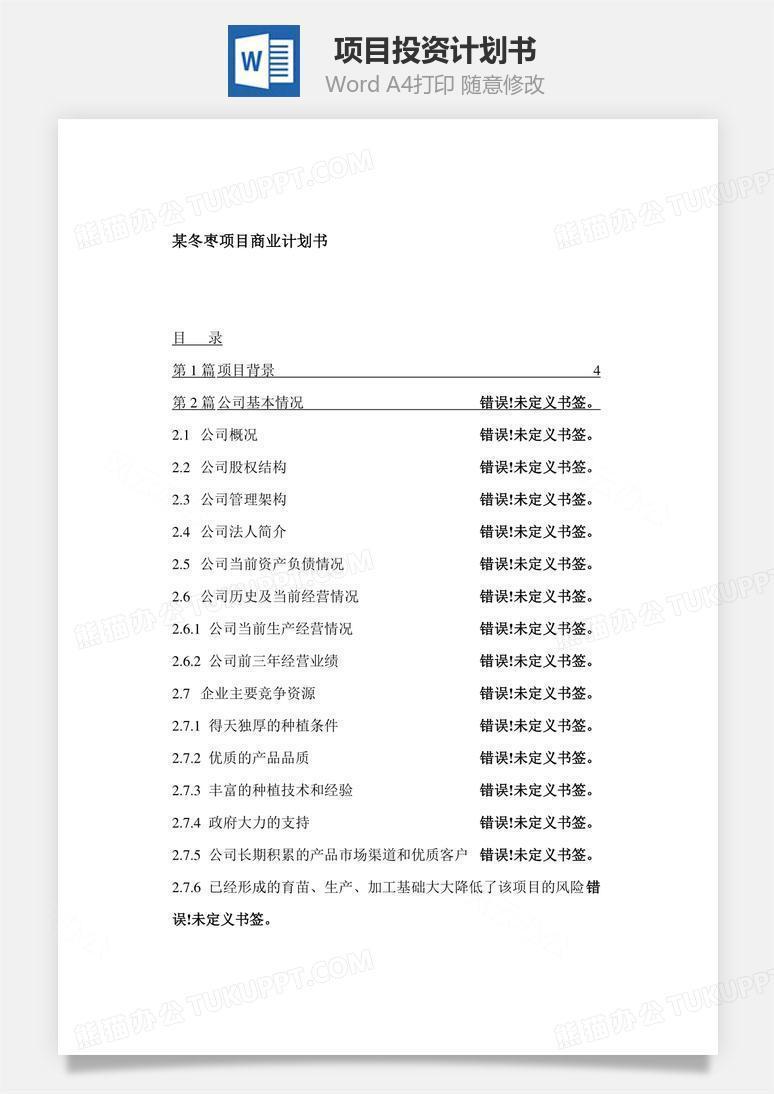 项目投资计划书word文档