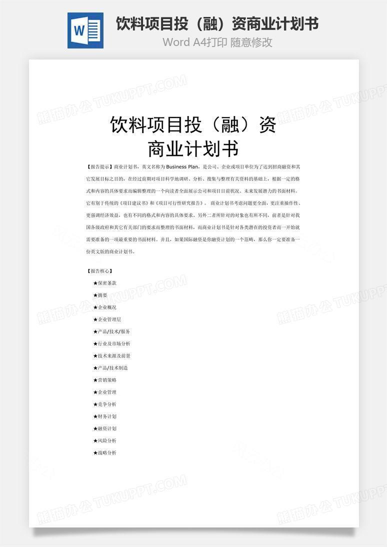 饮料项目投（融）资商业计划书word文档