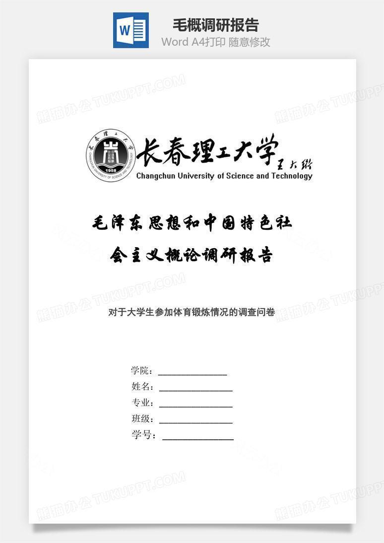毛概调研报告word文档