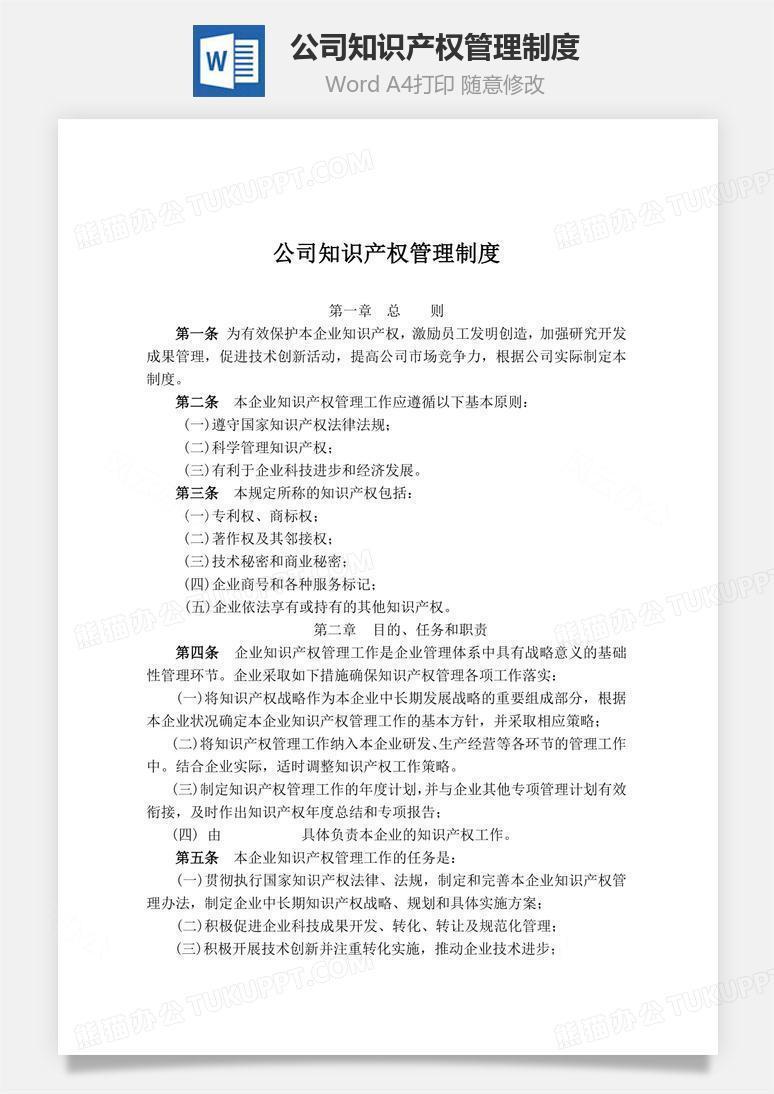 公司知识产权管理制度word文档