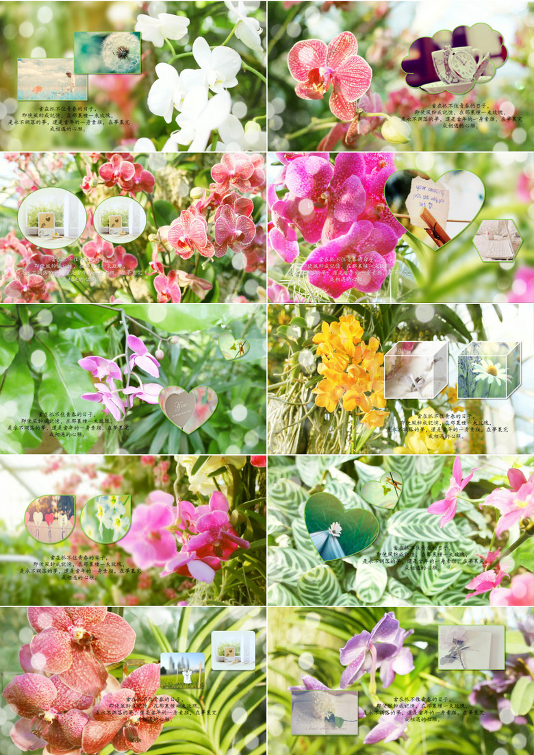 多彩唯美鲜花组合动态ppt模板