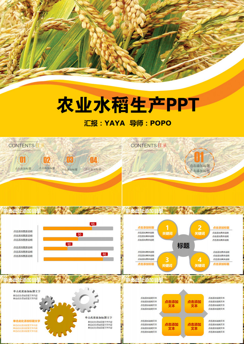 农业水稻生产PPT模板