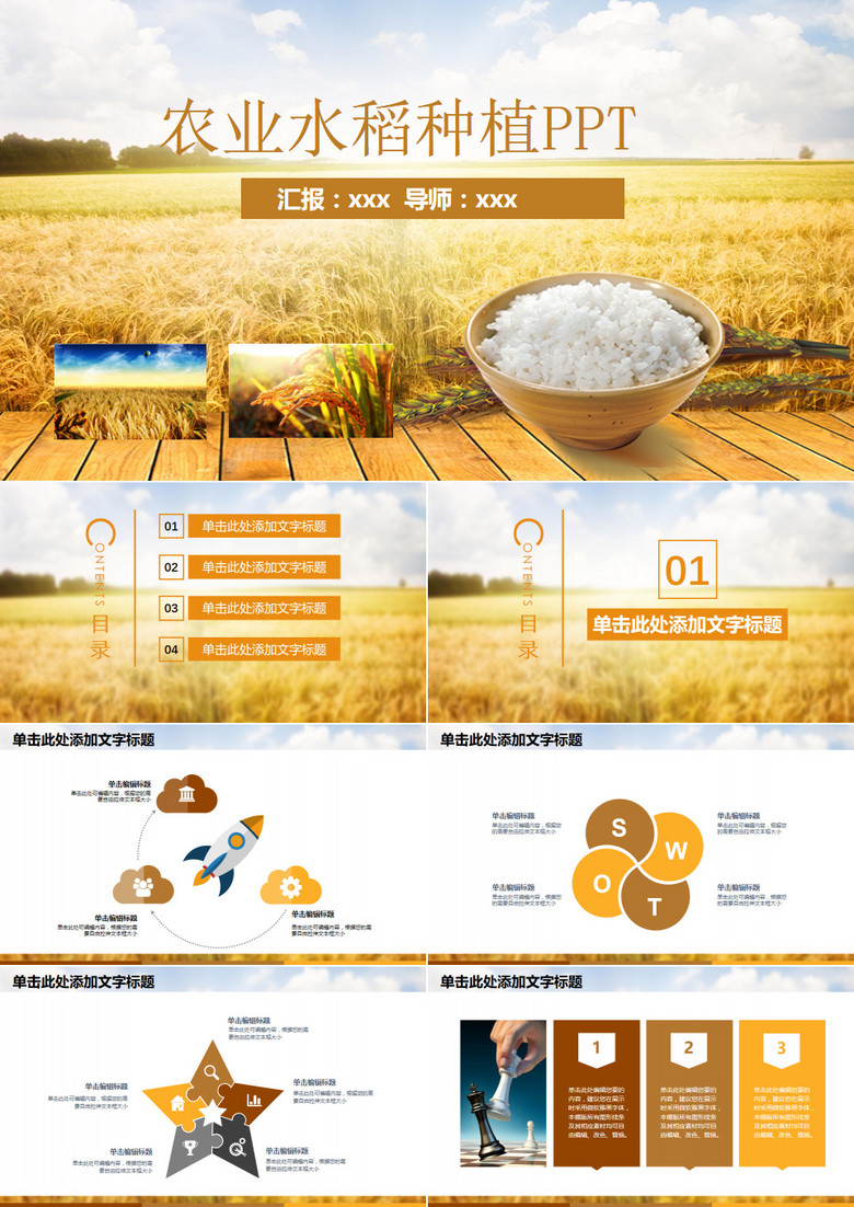 农业水稻种植产品宣传PPT模板