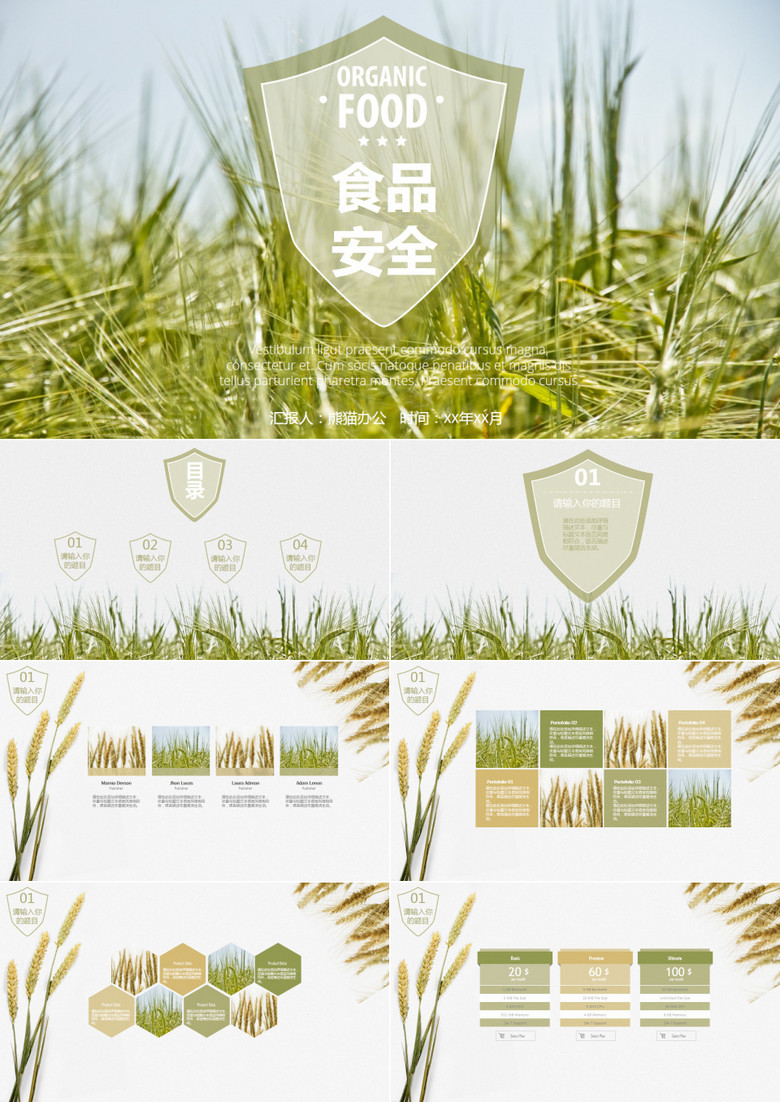 小清新绿色麦子食品安全第一PPT模板
