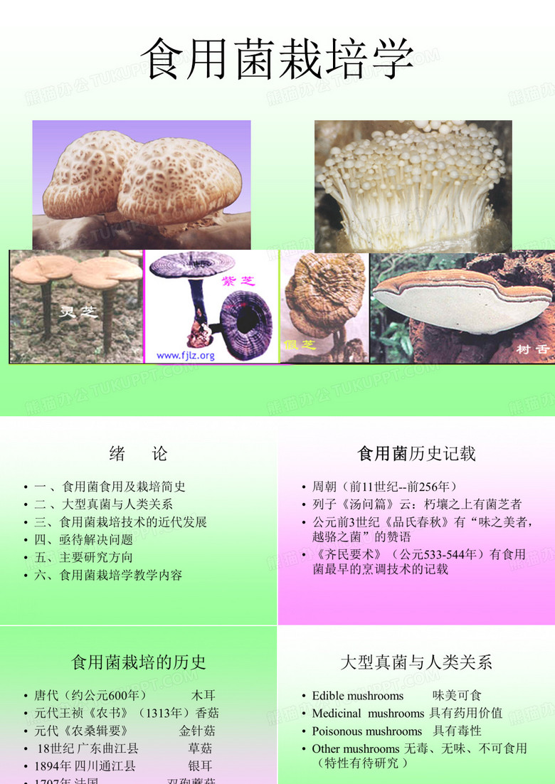 食用菌栽培学