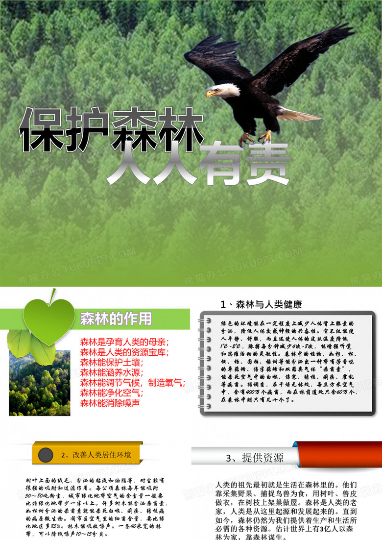 保护森林从我做起主题班会