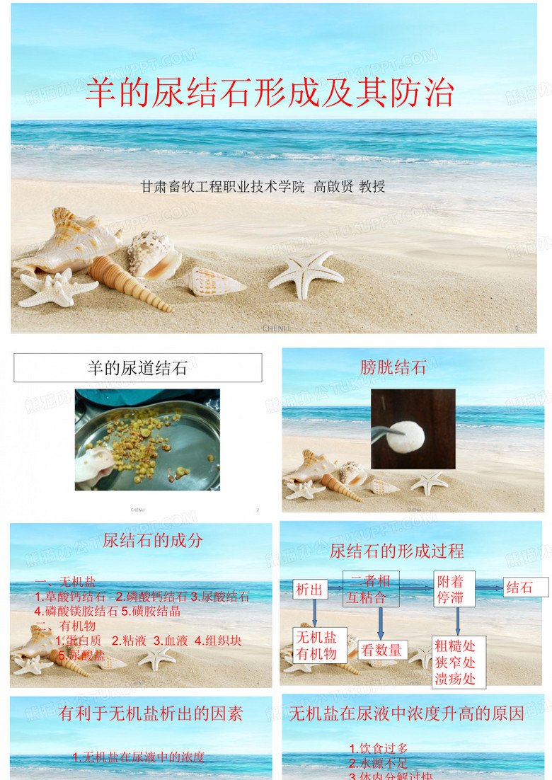 羊的尿结石的形成及其防治PPT课件