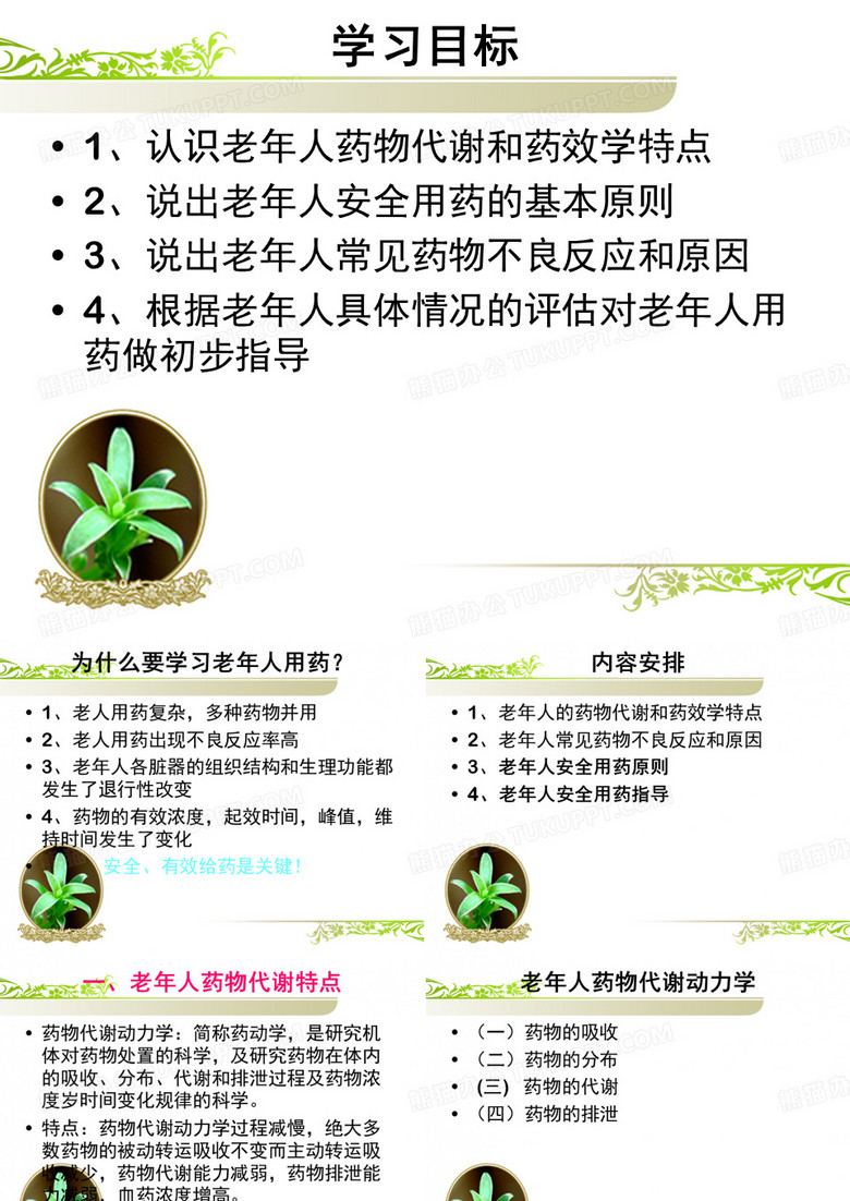 老年人的安全用药与护理-PPT文档资料