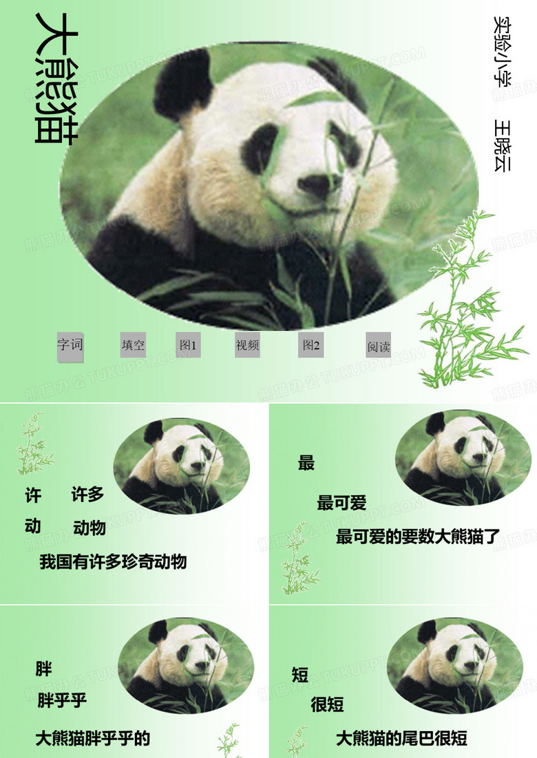 一年级语文大熊猫