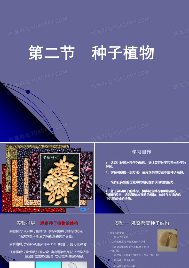 人教版七上第三单元第一章第二节种子植物(共13张PPT)