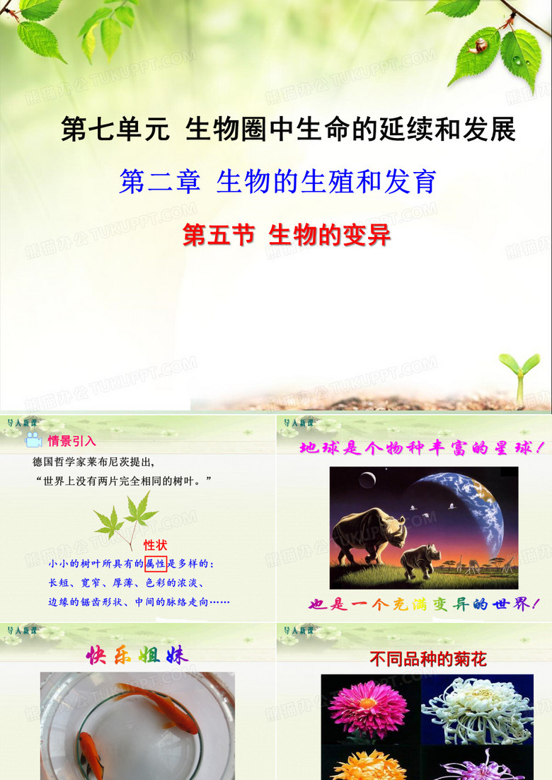 初中生物八年级下册《2.5第五节 生物的变异》优质课件(两套)