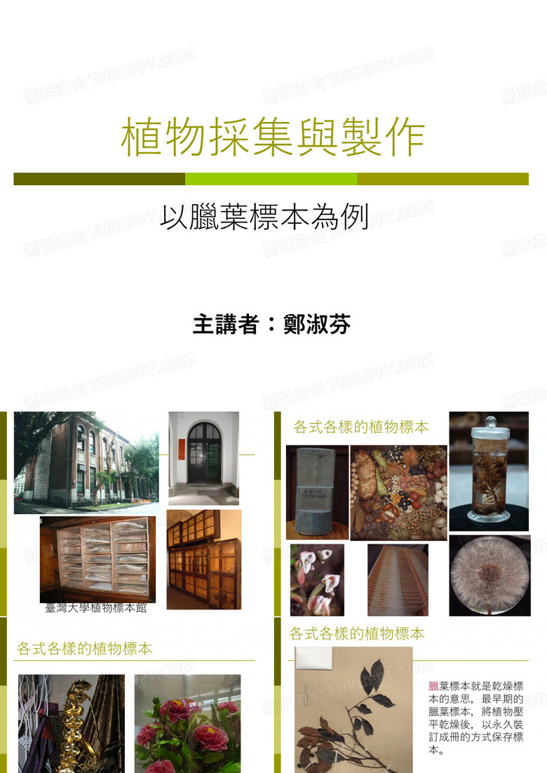 台大植物标本馆活动简报