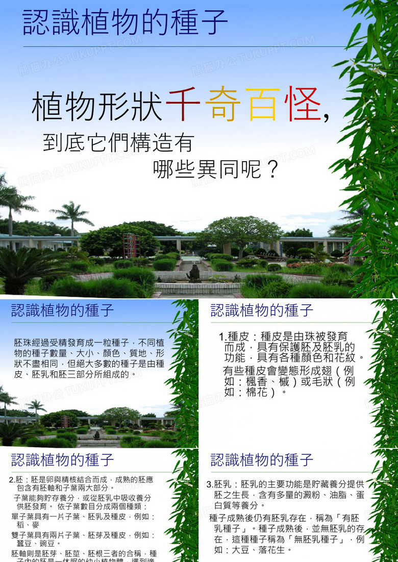 认识植物的种子