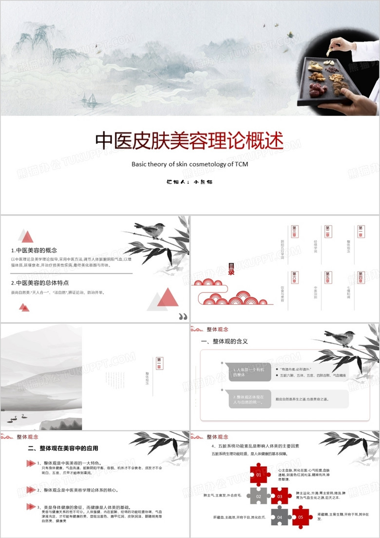 中医皮肤美容理论概述PPT模板