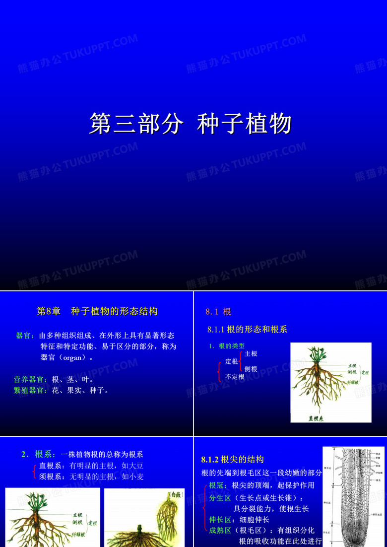 第三部分种子植物