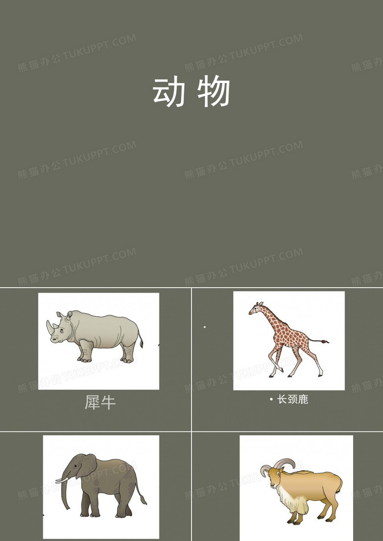 一人比划一人猜动物