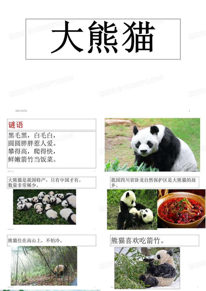 中班科学大熊猫