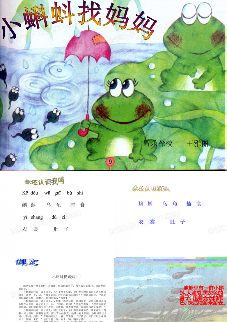 小蝌蚪找妈妈课件