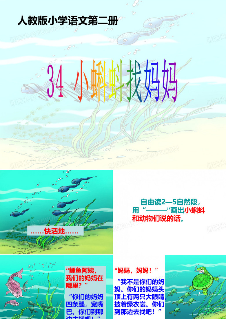 小蝌蚪找妈妈课件