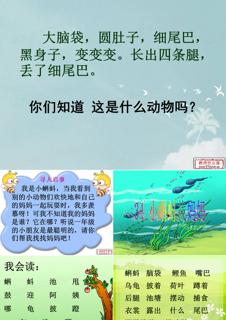 小蝌蚪找妈妈