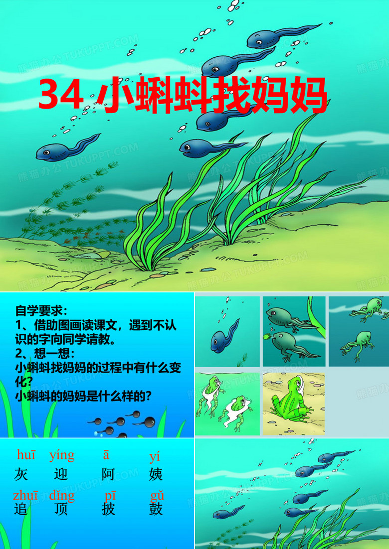小蝌蚪找妈妈