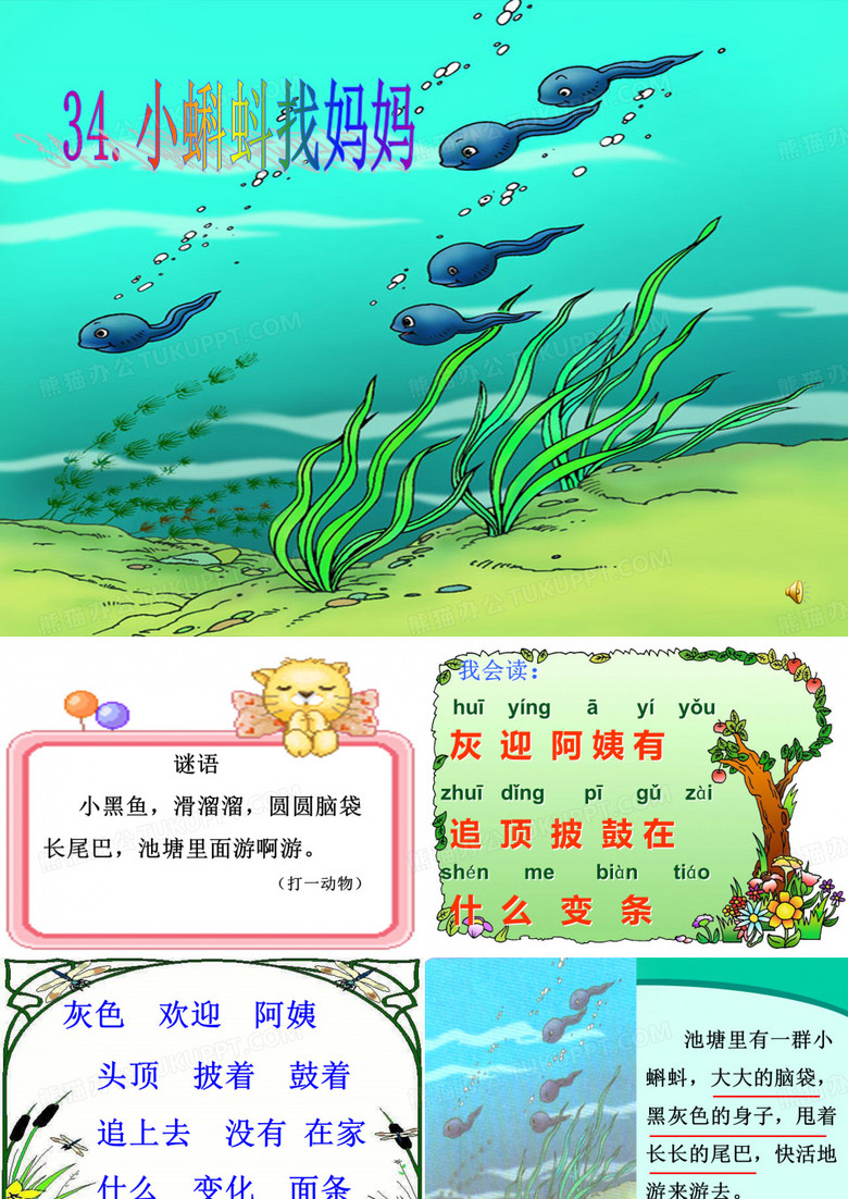 小蝌蚪找妈妈
