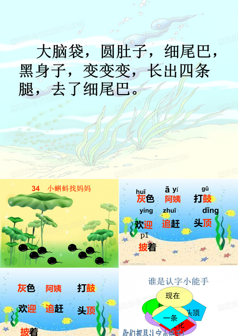 小蝌蚪找妈妈