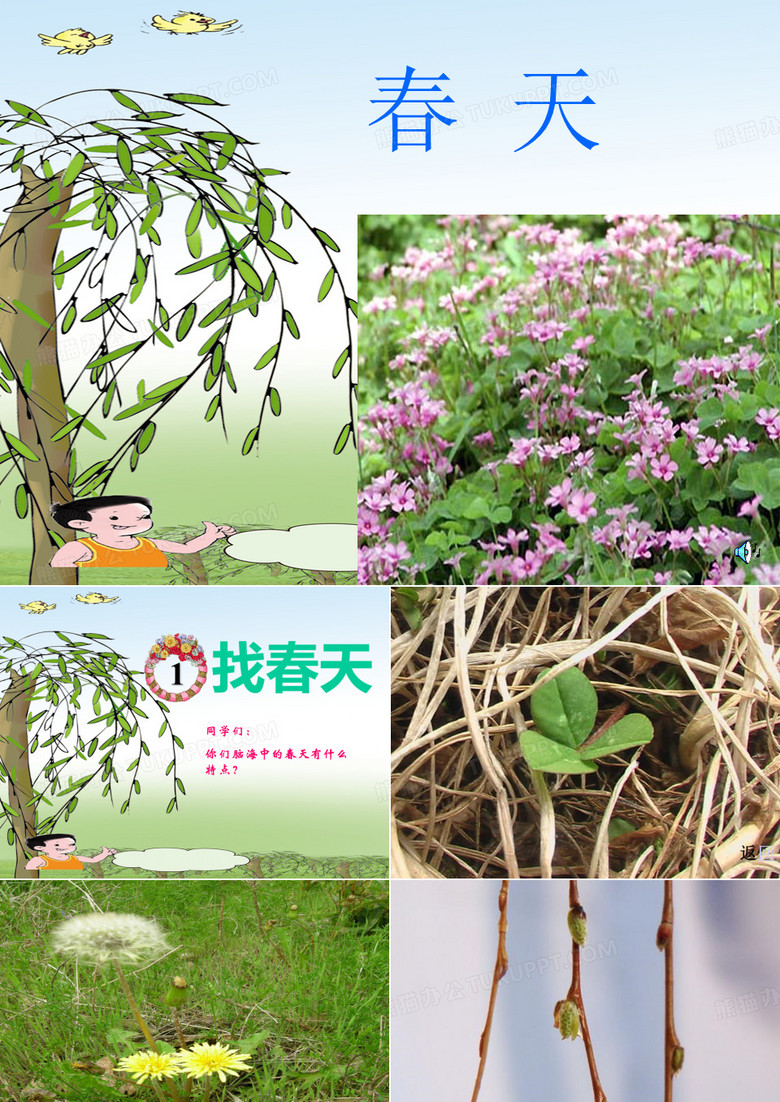 《找春天》