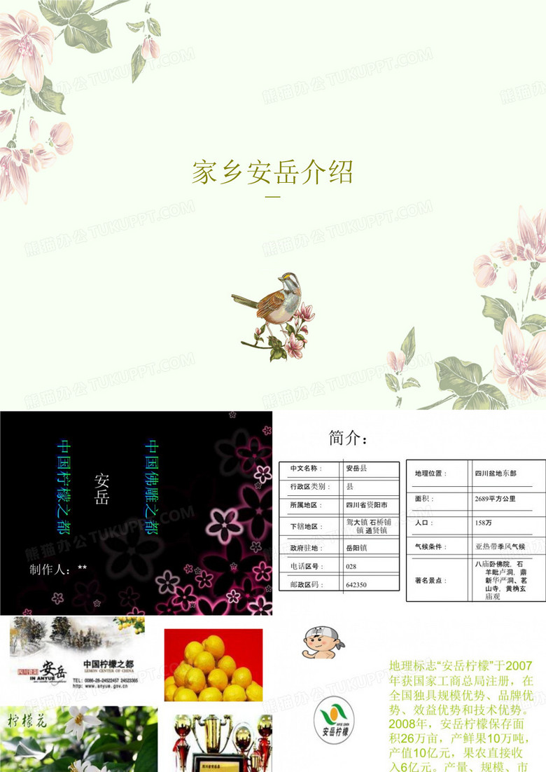 家乡安岳介绍共15页