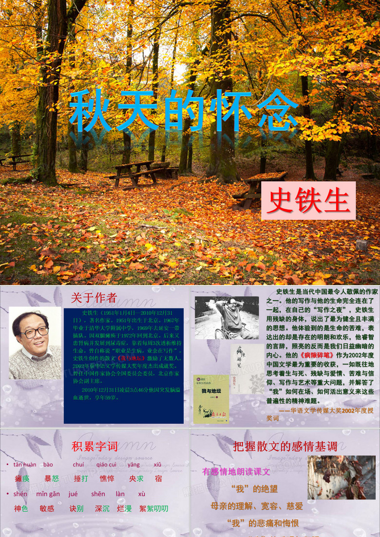 秋天的怀念
