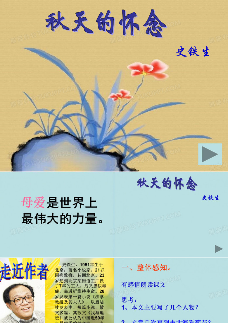 秋天的怀念