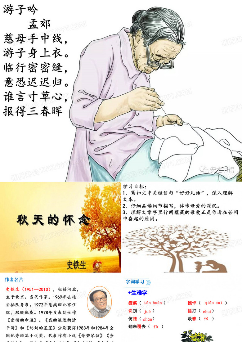 秋天的怀念